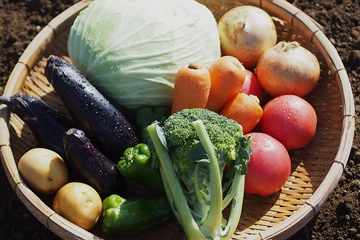無農薬野菜のミレー